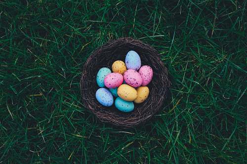 easter egg Easter Eggs on brown nest egg